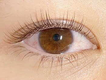 コンド サロン アネックス(CONDO SALON annex)/担当・moe