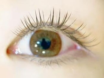 まつげ屋 イオン富士南店/Wキープラッシュ