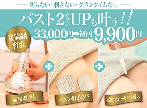 値下げしました！エステサロン　EMS WAVEWAVE016 EMS Slim Esthe(スリムエステ) 1個 WAVEWAVE 【通販
