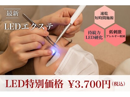 ユウ(Yuu)の写真