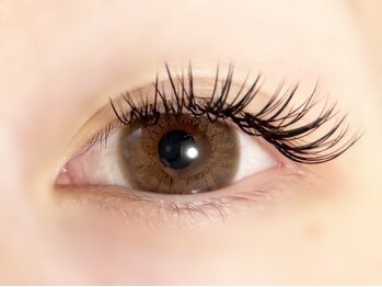 プレモ(Premo)/バインドロック80束