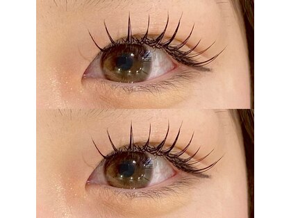 シルフ 心斎橋店(sylph)の写真