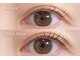 トトルナ(totoluna)の写真