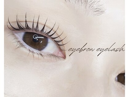 オーク(oak)の写真