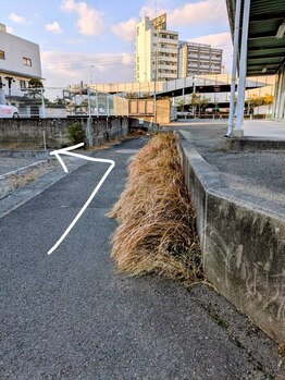蒼のゆらぎ 徳島/新駐車場8