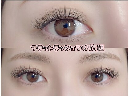 ミミ(Mimi)の写真