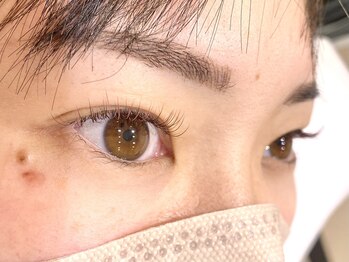 シャルム(Charme)/アッシュカラー　100本