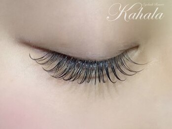 アイラッシュリゾートカハラ 国立店/カシミヤ