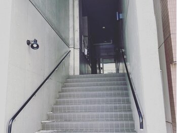 ネリネ(Nerine)/外観2