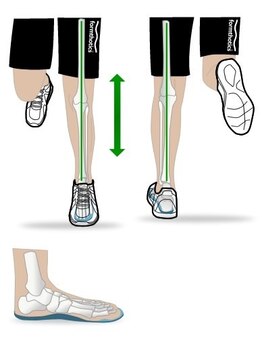 ナカザワ(NAKAZAWA)/運動連鎖：いい例