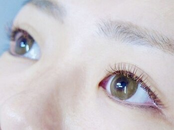 ミニョン 堺東店/フラットマットラッシュ　カラー