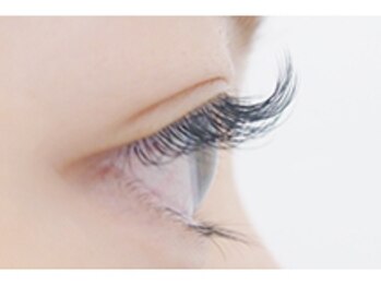 ニュイ 草加店(nuit)/高級セーブルエクステ80本/3980