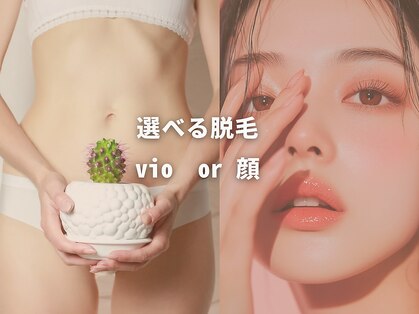 リズ(lis)の写真