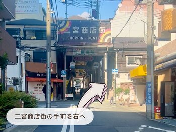 キュレイテッドスキン(CURATED SKIN)/