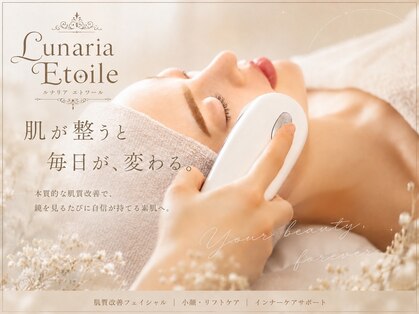 ルナリア(Lunaria)の写真