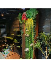 ザ サロン フラン(THE SALON FRANC)/滝が完成しました!!