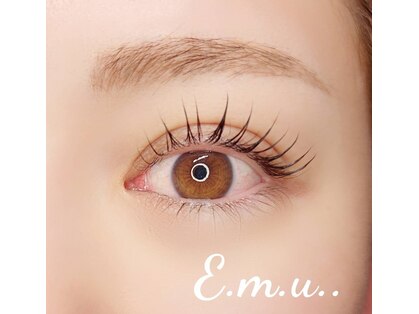 エミュ(E.m.u..)の写真