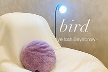 バードアイ(bird eye)