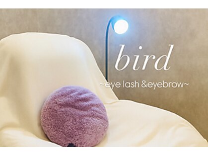 バードアイ(bird eye)の写真