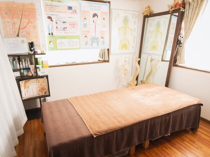 カイロプラクティック 花の写真