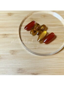 ファレノホワイト/定額ネイルデザイン/ 秋