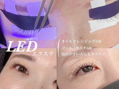 マハロ(Mahalo.N)の写真