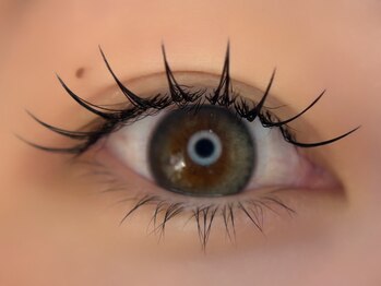 リコナ(LICONA)/フラットラッシュ140本