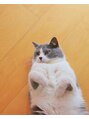 グランツ 京都伏見(Glanz)&nbsp;猫好きです！猫派の方、ぜひ自慢の愛猫のお話を聞かせてください