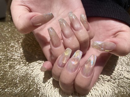 プロテア(protea)の写真