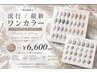 【マグネットorフラッシュ】ワンカラー ¥6600(ご新規様オフ込)