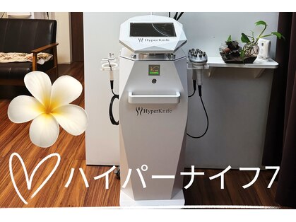 すこやか 亀戸店の写真
