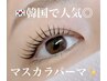 【YUKA新規】話題の韓国マスカラパーマ☆補修トリートメント付き¥8500→¥8200