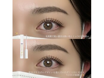 コア(Core)/根本立ち上げ目に光を♪