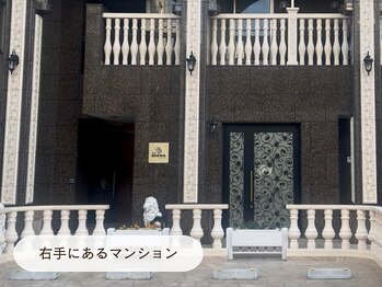 キュレイテッドスキン(CURATED SKIN)/