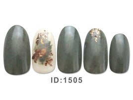 2025.11-12月ジェル定額シンプル