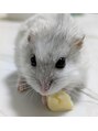 ネイルルーム トリニティ(Nail Room Trinity) ハムスター飼ってます。癒し!