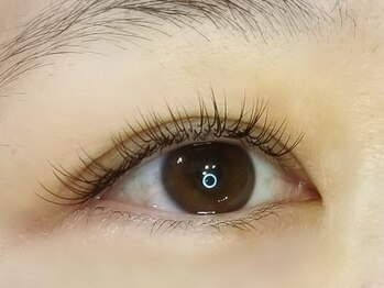 アイラッシュ バイ アイル(eyelash by ilu)/セーブル120(60×60)
