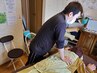 【お得なセット割！】整体30分＋フェイシャルケア30分/60分/6000円→5500円