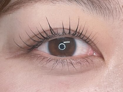 ルシェ(Lushe)の写真