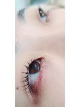 コア(Koa)/根元からしっかり立ち上げ