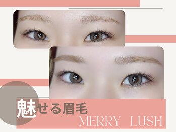 メリーラッシュ 秋田店/眉毛で変わる