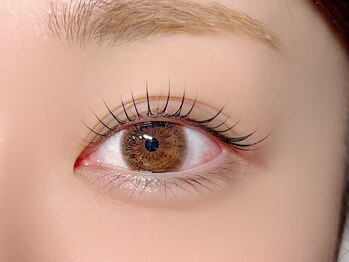 ベルアイラッシュ(Belleyelash)/【まつげパーマ】瑞江/まつげ