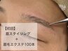 眉スタイリング+眉エクステ100本￥12650⇒¥10450【75分】
