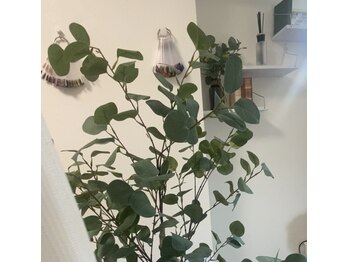 ペル(Per)/光触媒