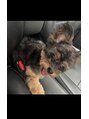 ビー 中町(bii)&nbsp;愛犬「MUU」おすすめのドッグランなど教えて下さい♪