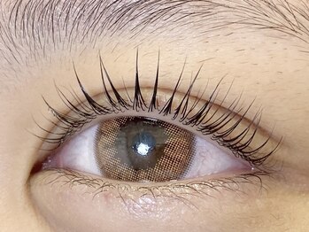 エイトアイラッシュ 井荻店(eight eyelash)/まつ毛パーマ*