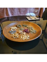 ミホズルーム(Miho‘s room)/本日のハーブ