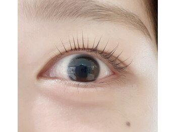 ニコットラッシュ 表参道店(nicott lash)/まつ毛パーマ/ラッシュリフト