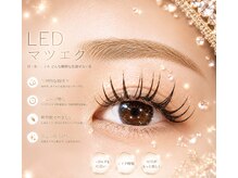 リノ(un Lino)の雰囲気（自まつ毛の状態を見ながら、1本1本丁寧に装着していきます♪）