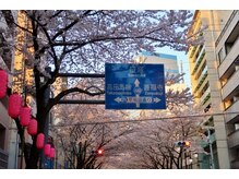 中野整体マスターズ/中野 整体 自律神経　カイロ